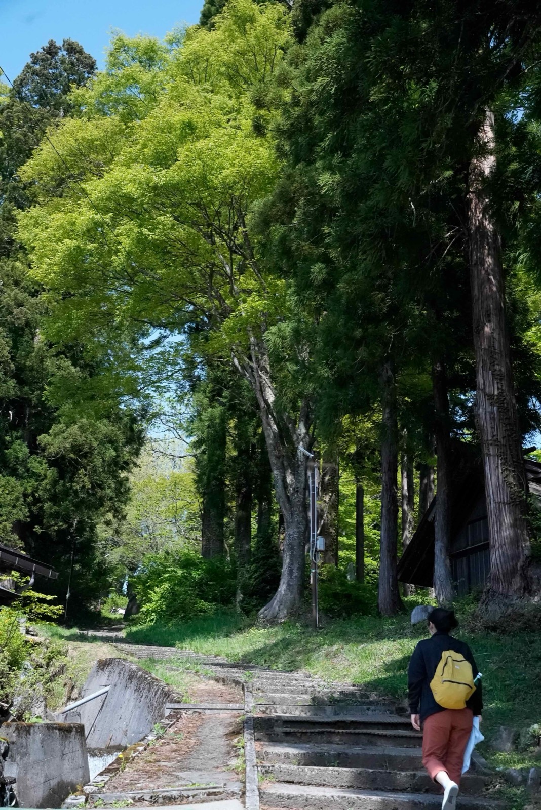 The lanes ask you to slow down and wander